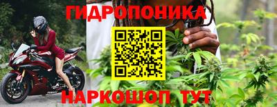 гидра Будённовск