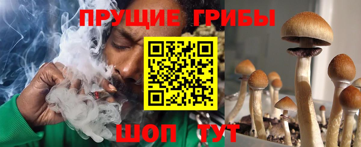 Псилоцибиновые грибы мицелий Солнечногорск